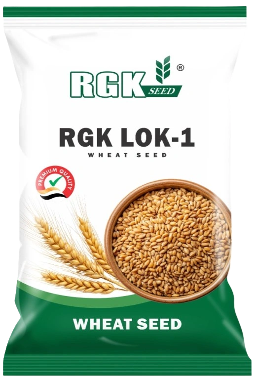 गेहूँ (रिसर्च) seeds for field crops
